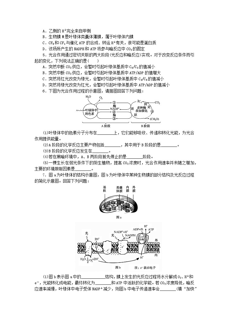新高考2024版高考生物一轮复习微专题小练习专练26光合作用的过程第2页