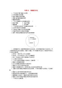 新高考2024版高考生物一轮复习微专题小练习专练33细胞的分化