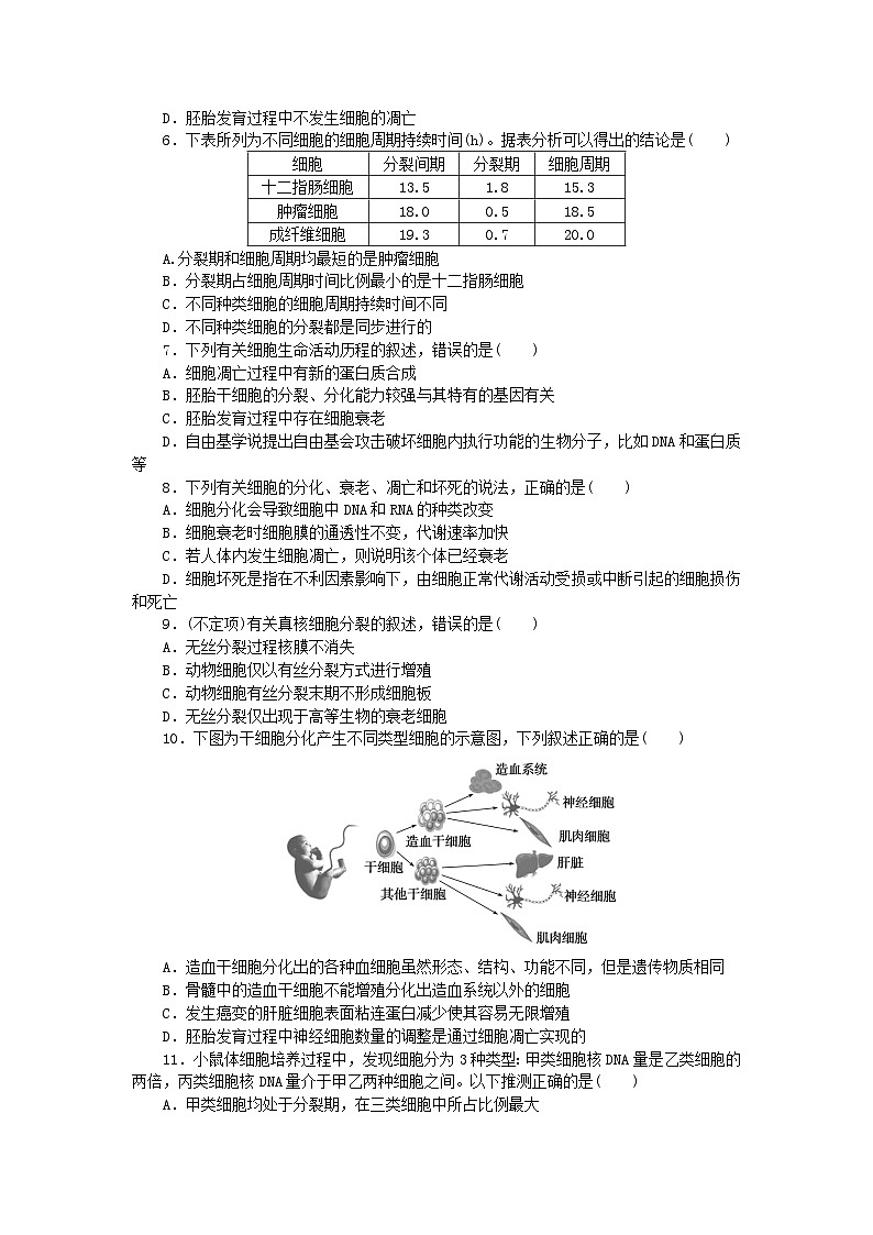 新高考2024版高考生物一轮复习微专题小练习专练35细胞的生命历程综合练第2页