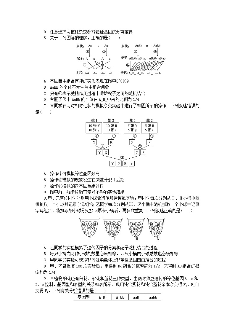 新高考2024版高考生物一轮复习微专题小练习专练40遗传因子的发现综合练02