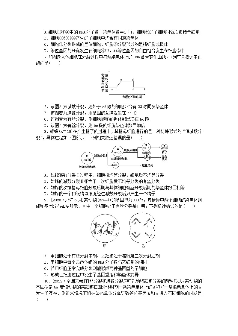 新高考2024版高考生物一轮复习微专题小练习专练42减数分裂与有丝分裂的比较第2页