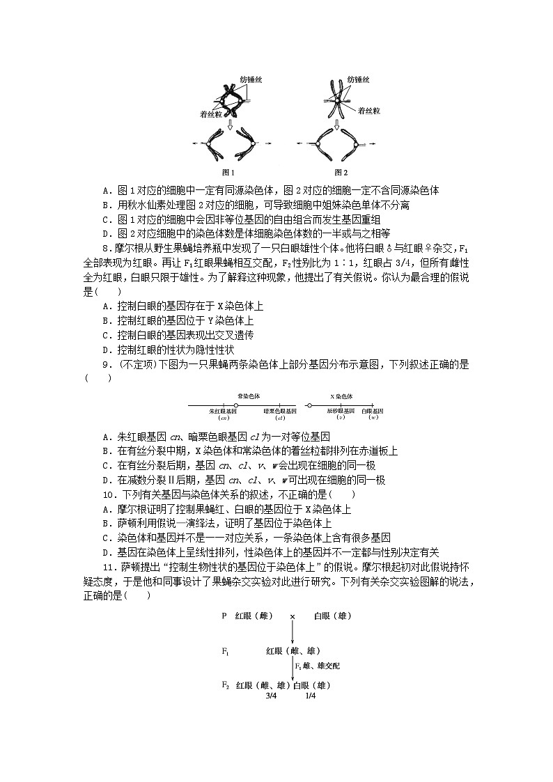 新高考2024版高考生物一轮复习微专题小练习专练43基因在染色体上第2页