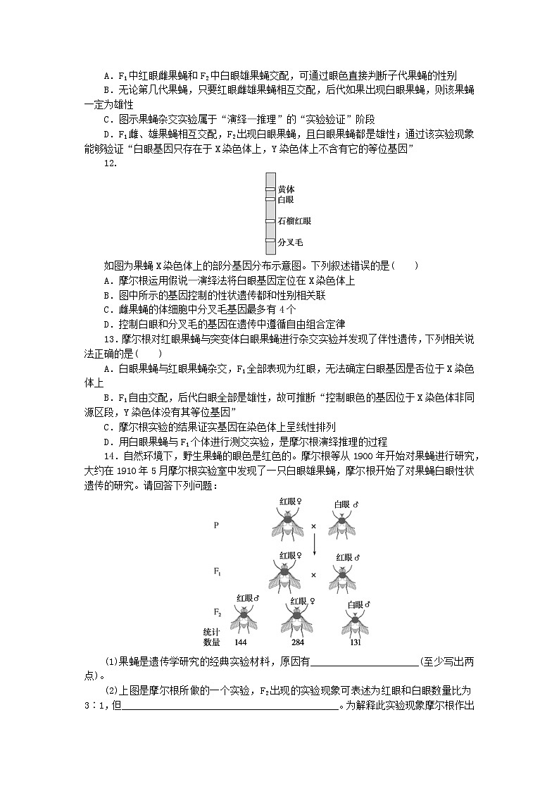 新高考2024版高考生物一轮复习微专题小练习专练43基因在染色体上第3页