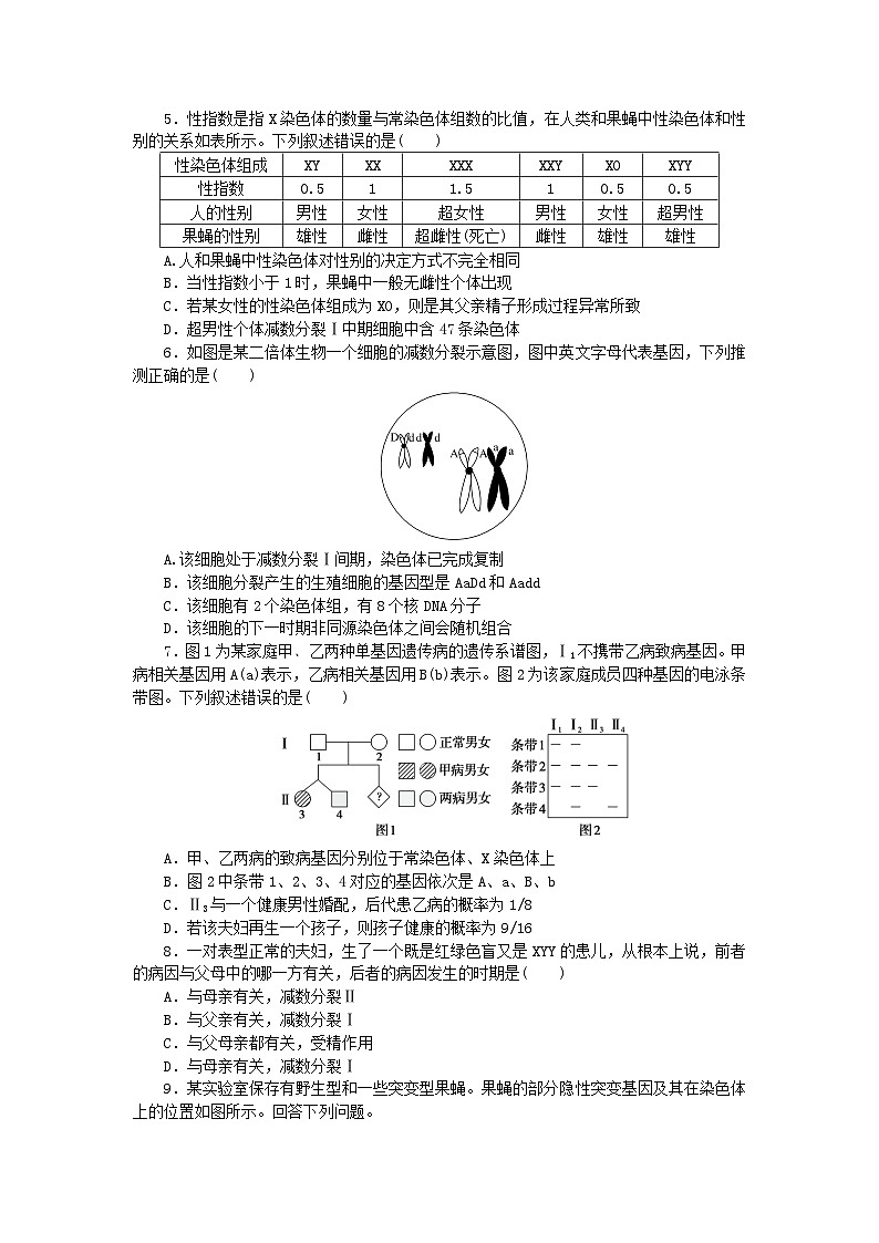 新高考2024版高考生物一轮复习微专题小练习专练45基因和染色体的关系综合练02
