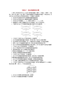 新高考2024版高考生物一轮复习微专题小练习专练47DNA的结构及计算