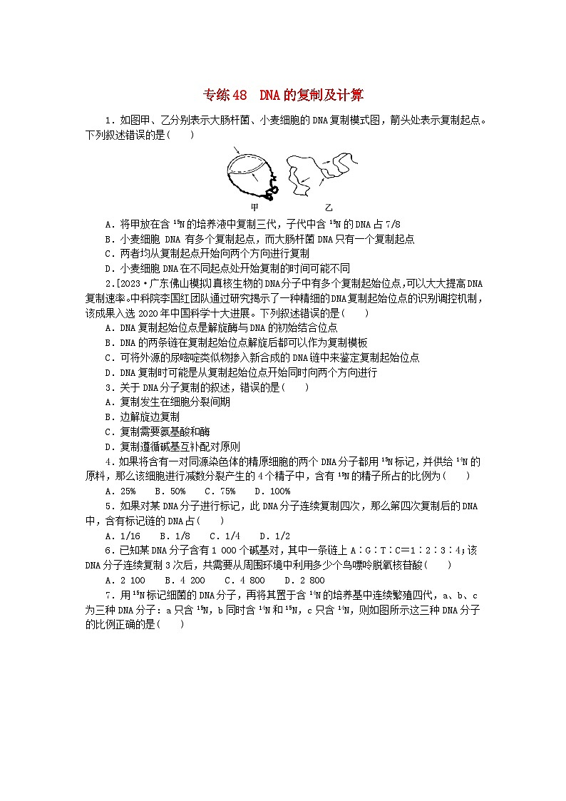 新高考2024版高考生物一轮复习微专题小练习专练48DNA的复制及计算第1页