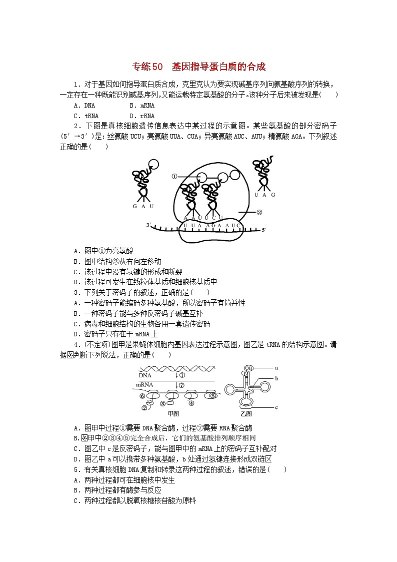 新高考2024版高考生物一轮复习微专题小练习专练50基因指导蛋白质的合成第1页