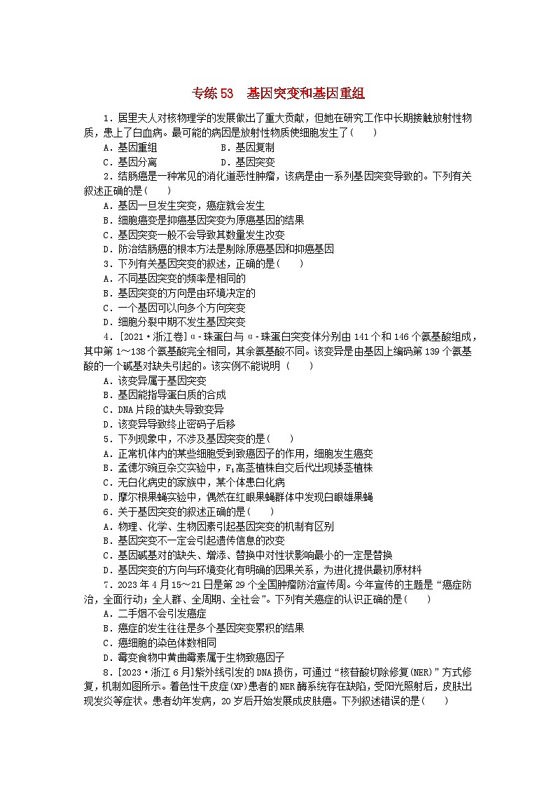 新高考2024版高考生物一轮复习微专题小练习专练53基因突变和基因重组第1页