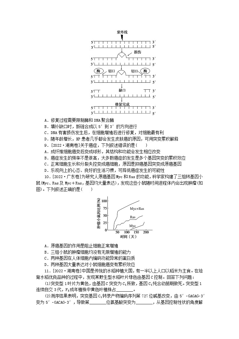 新高考2024版高考生物一轮复习微专题小练习专练53基因突变和基因重组第2页