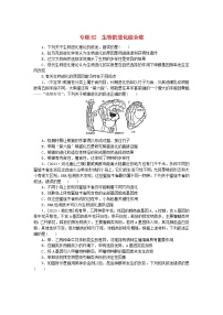 新高考2024版高考生物一轮复习微专题小练习专练62生物的进化综合练