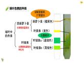 光合作用与能量转化生物人教版必修1课件PPT