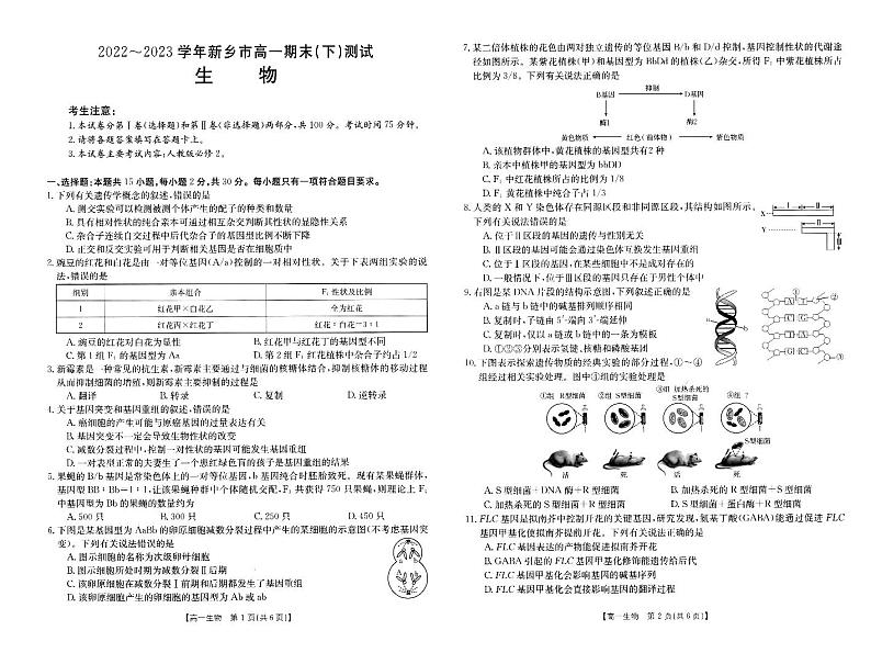 河南省新乡市2022-2023学年高一下学期7月期末考试生物试题01