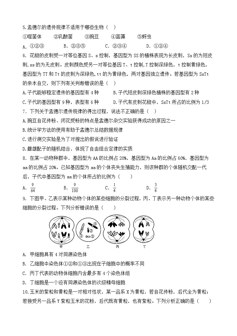 四川省宜宾市南溪第一中学2022-2023学年高一生物下学期期末模拟试题（Word版附答案）02
