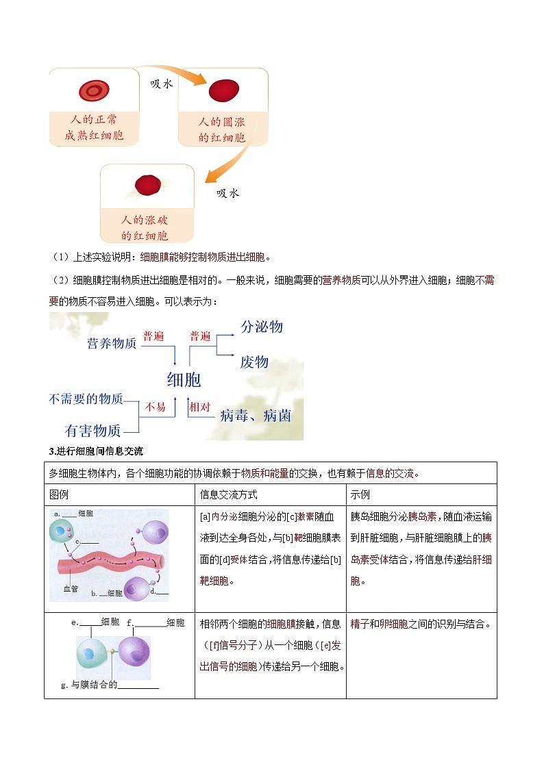 【暑假初升高】人教版生物初三（升高一）暑假预习-（必修1）第06讲 细胞膜的功能及细胞膜的探究历程 讲学案 （原卷版）第2页