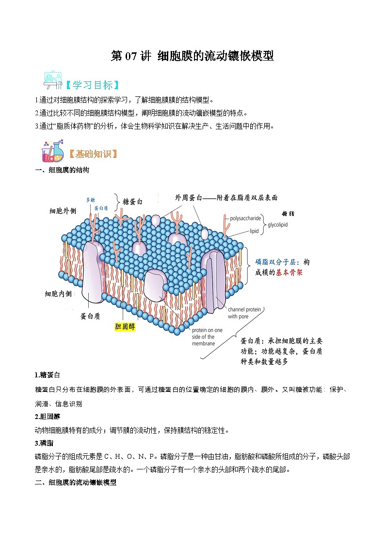 【暑假初升高】人教版生物初三（升高一）暑假预习-（必修1）第07讲 细胞膜的流动镶嵌模型 讲学案 （解析版）第1页