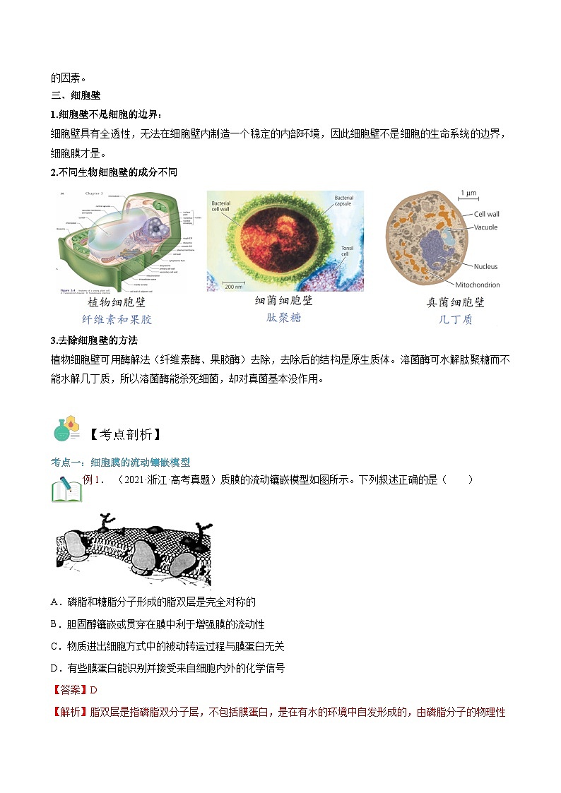 【暑假初升高】人教版生物初三（升高一）暑假预习-（必修1）第07讲 细胞膜的流动镶嵌模型 讲学案 （解析版）第3页