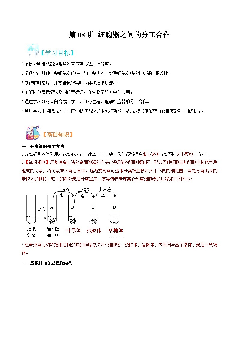 【暑假初升高】人教版生物初三（升高一）暑假预习-（必修1）第08讲 细胞器之间的分工合作  讲学案01