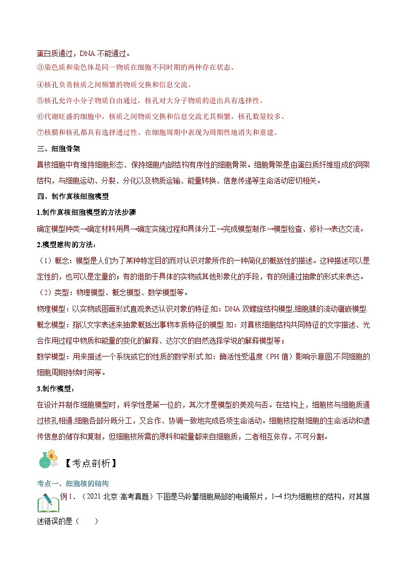 【暑假初升高】人教版生物初三（升高一）暑假预习-（必修1）第09讲 细胞核的结构和功能  讲学案03