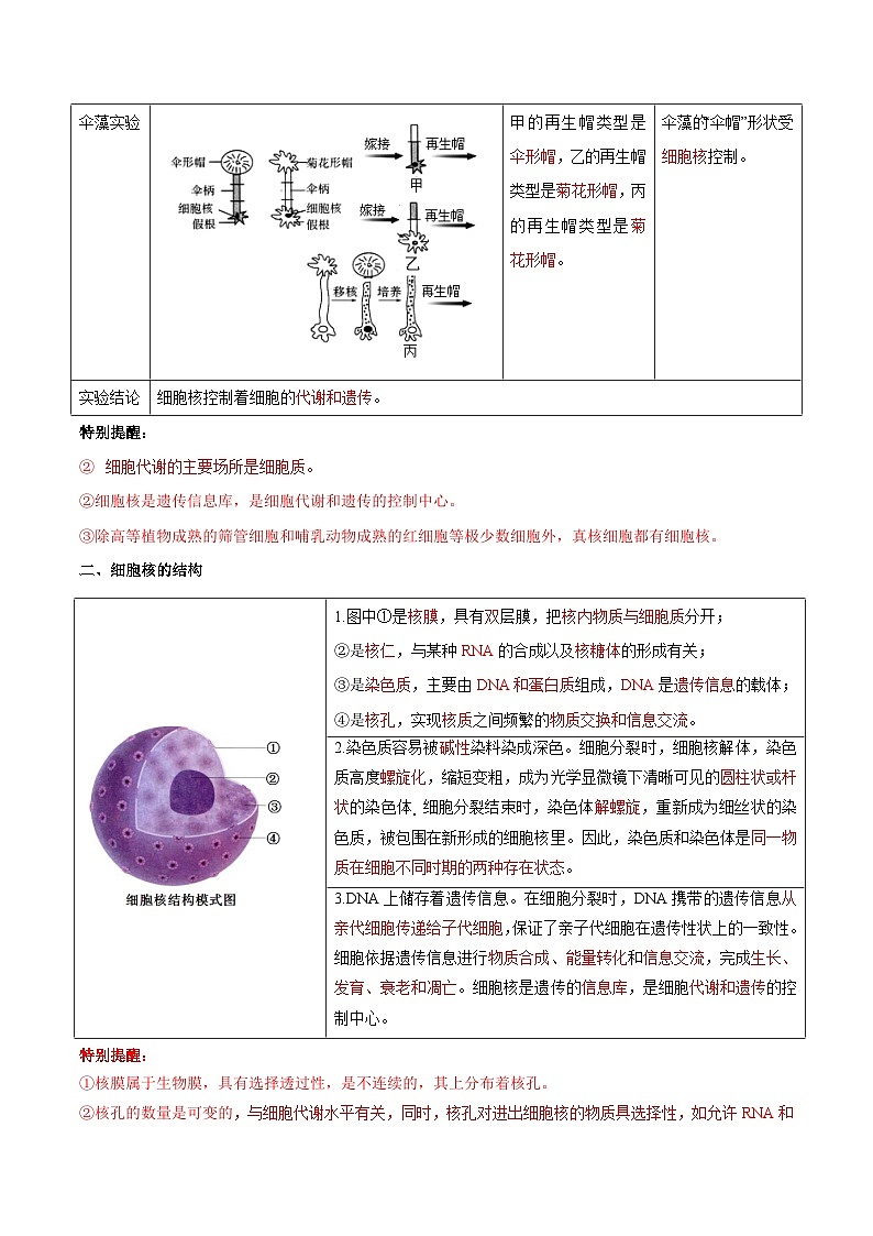 【暑假初升高】人教版生物初三（升高一）暑假预习-（必修1）第09讲 细胞核的结构和功能  讲学案02