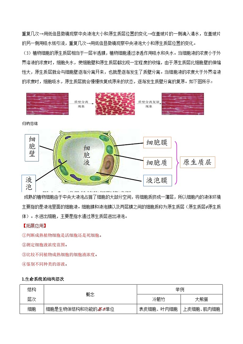 【暑假初升高】人教版生物初三（升高一）暑假预习-（必修1）第10讲 被动运输  讲学案03