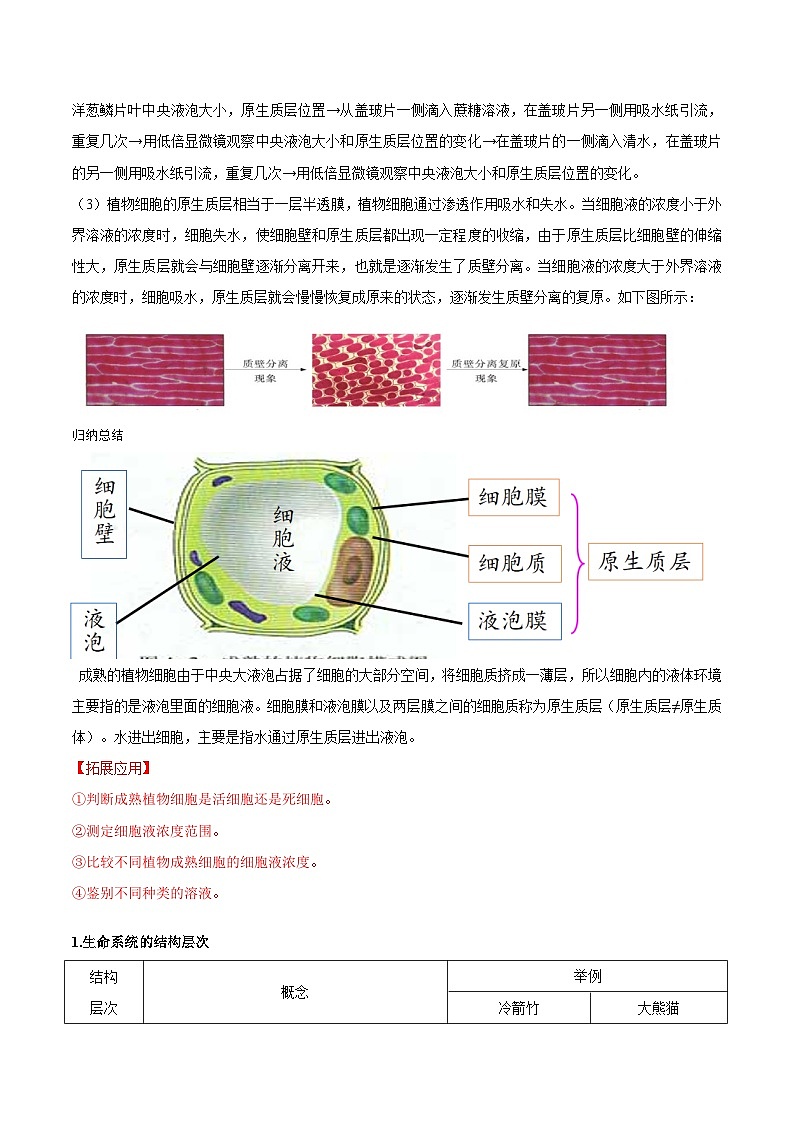 【暑假初升高】人教版生物初三（升高一）暑假预习-（必修1）第10讲 被动运输  讲学案03