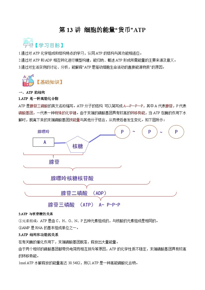 【暑假初升高】人教版生物初三（升高一）暑假预习-（必修1）第13讲 细胞的能量货币ATP 讲学案 （原卷版）第1页