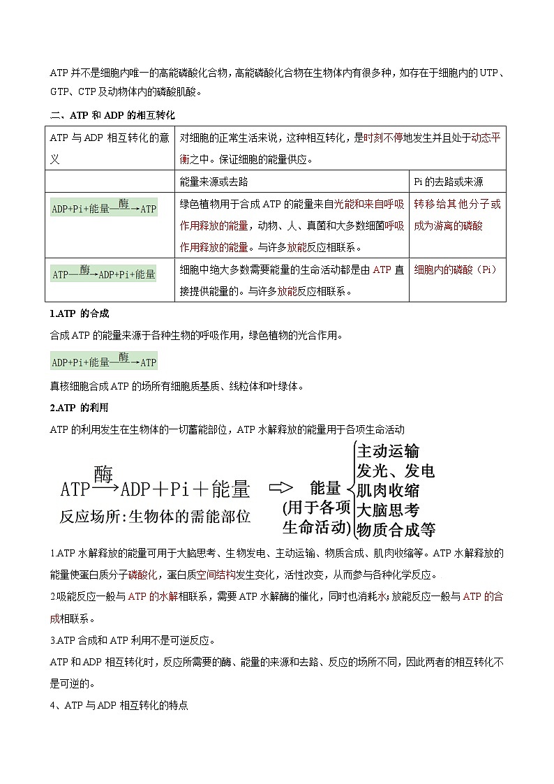 【暑假初升高】人教版生物初三（升高一）暑假预习-（必修1）第13讲 细胞的能量货币ATP 讲学案 （解析版）第2页
