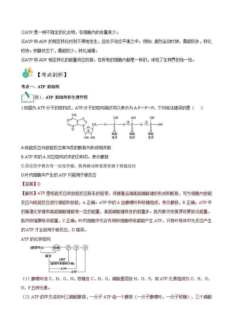 【暑假初升高】人教版生物初三（升高一）暑假预习-（必修1）第13讲 细胞的能量货币ATP 讲学案 （解析版）第3页