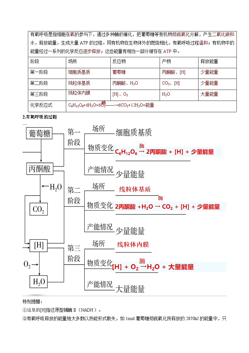 【暑假初升高】人教版生物初三（升高一）暑假预习-（必修1）第14讲 细胞呼吸的原理和应用  讲学案03