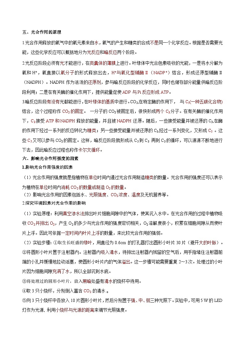 【暑假初升高】人教版生物初三（升高一）暑假预习-（必修1）第15讲 光合作用与能量转化  讲学案03