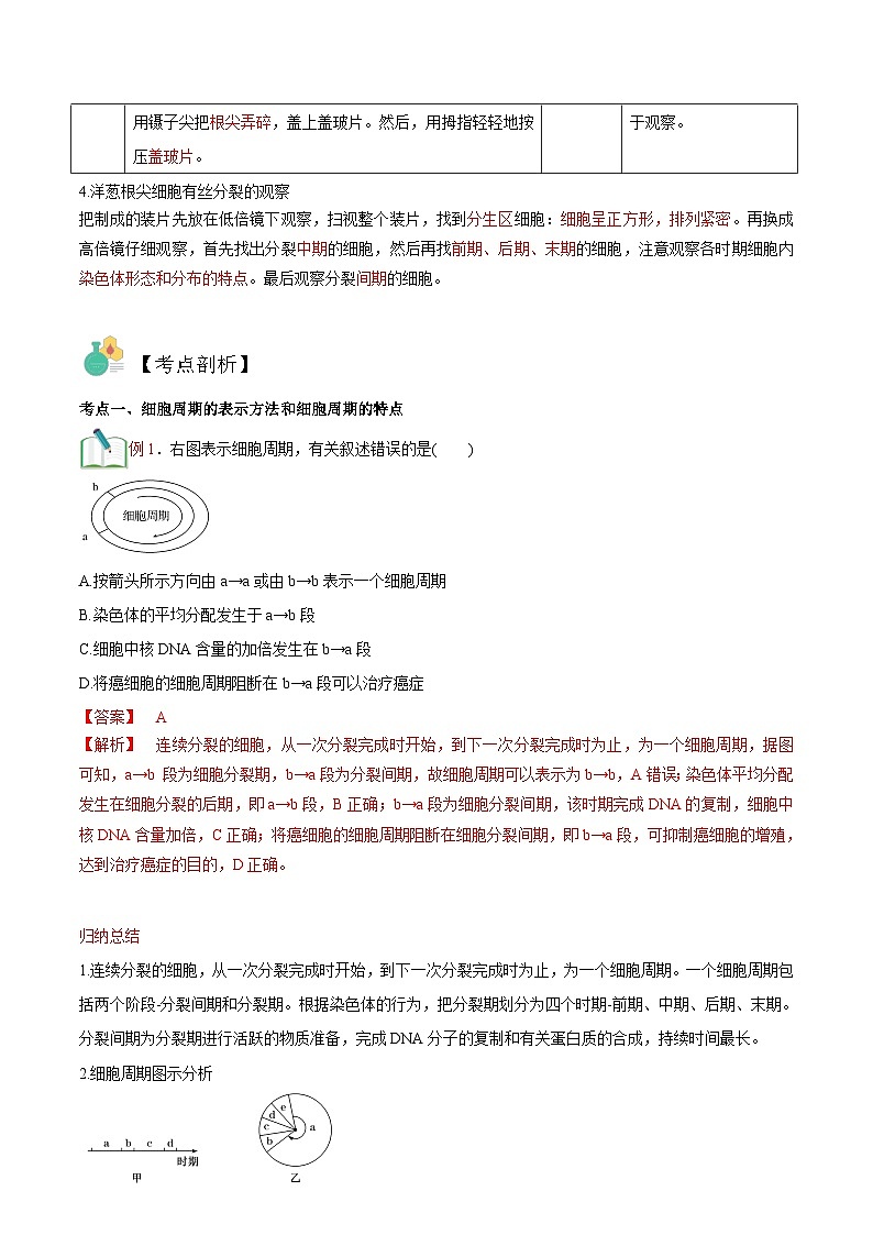 【暑假初升高】人教版生物初三（升高一）暑假预习-（必修1）第16讲 细胞的增殖 讲学案 （解析版）第3页