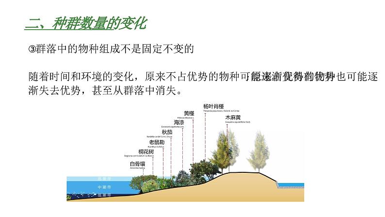 高中生物人教版（2019）选择性必修2第二章2.1《群落的结构》课件第8页