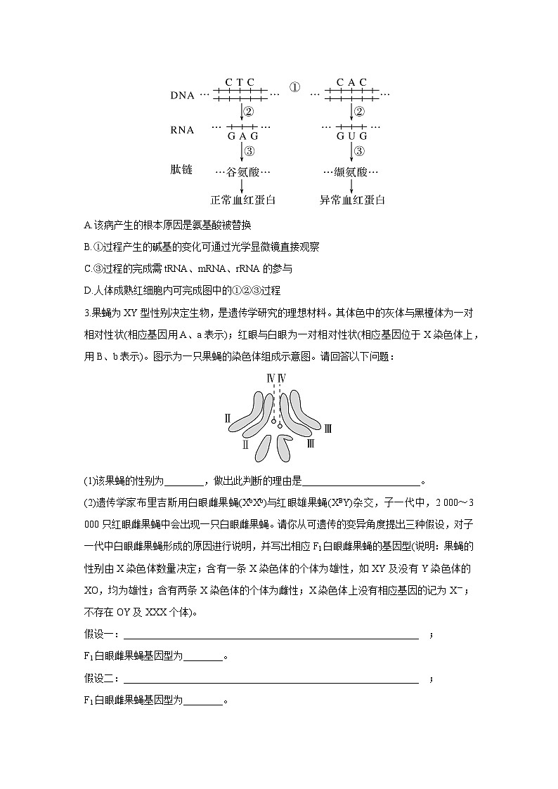 【暑假复习】人教版2019生物高一（升高二）暑假复习-（必修2）第3讲 基因突变及其他变异（含育种） 讲学案03
