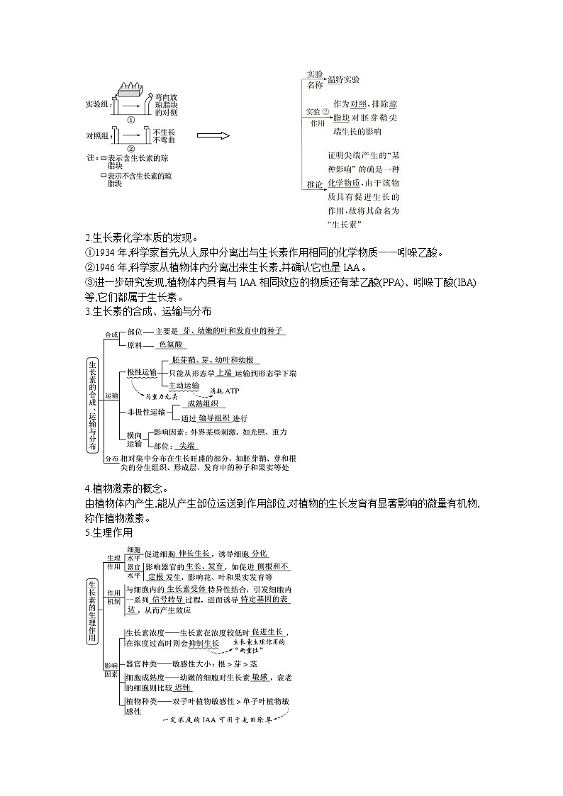【暑假预习】人教版2019生物高一（升高二）暑假预习-（选修1）第10讲  植物生命活动的调节之生长素作用 讲学案02