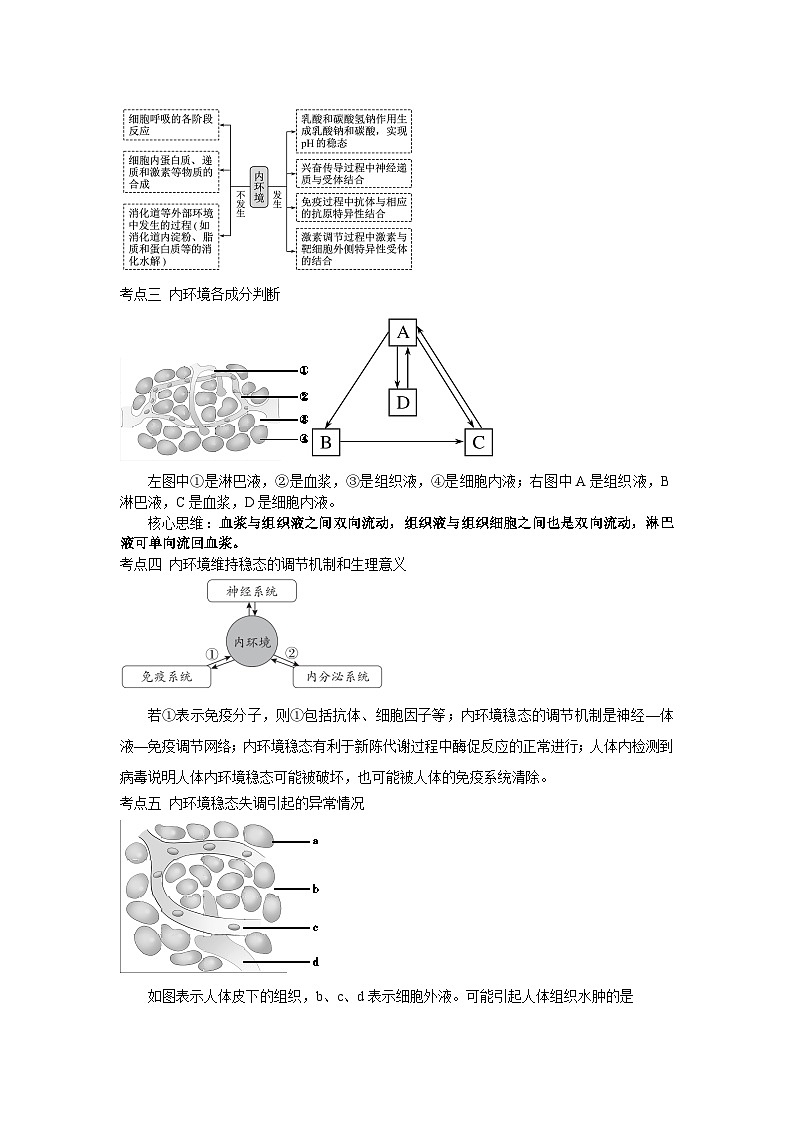 【暑假预习】人教版2019生物高一（升高二）暑假预习-（选修1）第1讲 人体的内环境与稳态 讲学案（原卷版） 第3页