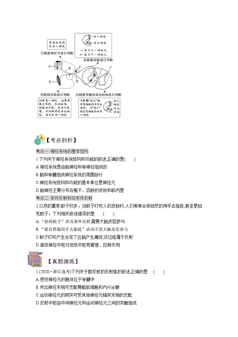 【暑假预习】人教版2019生物高一（升高二）暑假预习-（选修1）第2讲 神经调节之神经元结构、反射弧结构 讲学案03
