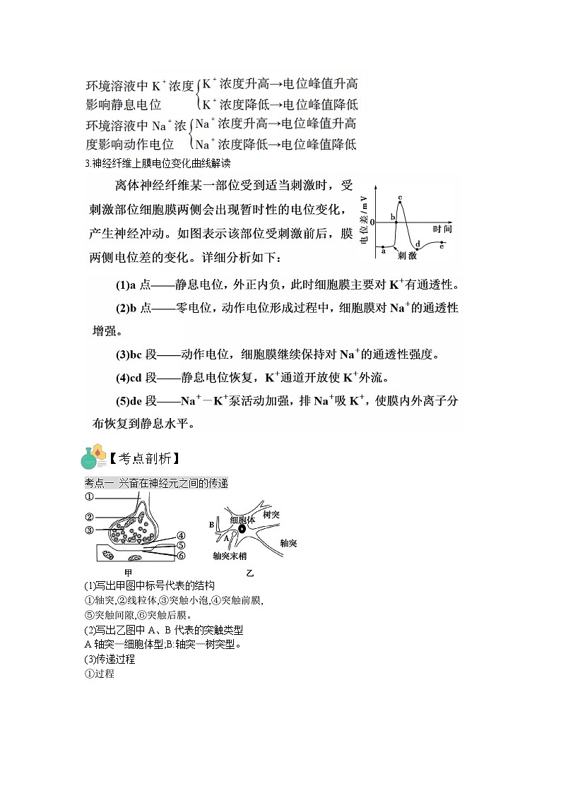 【暑假预习】人教版2019生物高一（升高二）暑假预习-（选修1）第3讲 神经调节之神经冲动产生与传导 讲学案（解析版） 第2页
