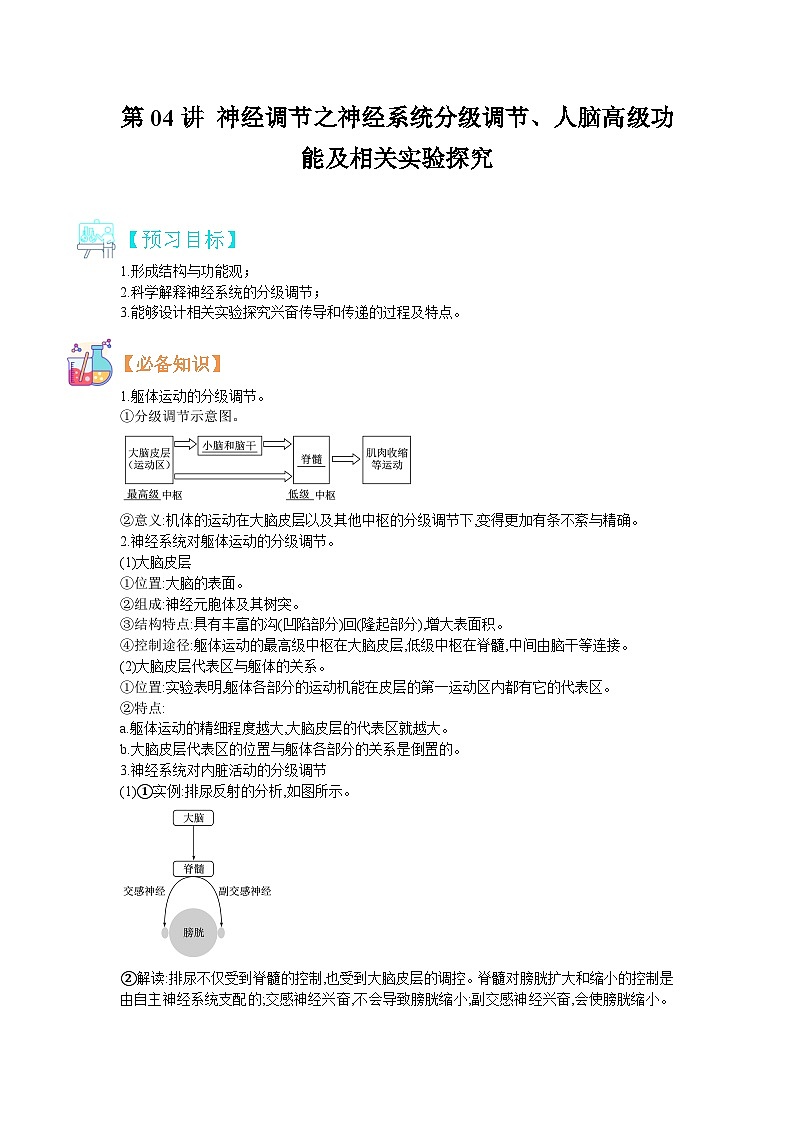 【暑假预习】人教版2019生物高一（升高二）暑假预习-（选修1）第4讲  神经调节之神经系统分解调节、人脑高级功能以及兴奋传导相关实验 讲学案01