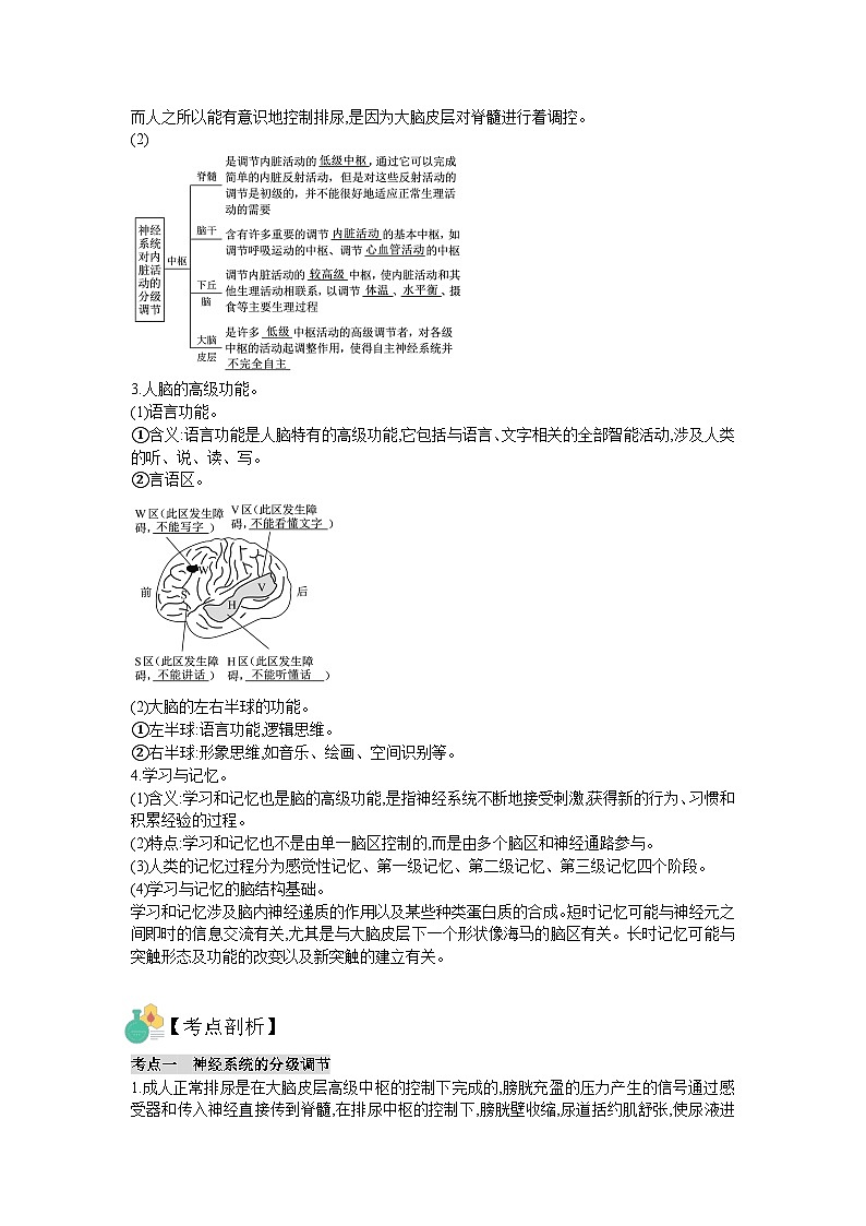 【暑假预习】人教版2019生物高一（升高二）暑假预习-（选修1）第4讲  神经调节之神经系统分解调节、人脑高级功能以及兴奋传导相关实验 讲学案02
