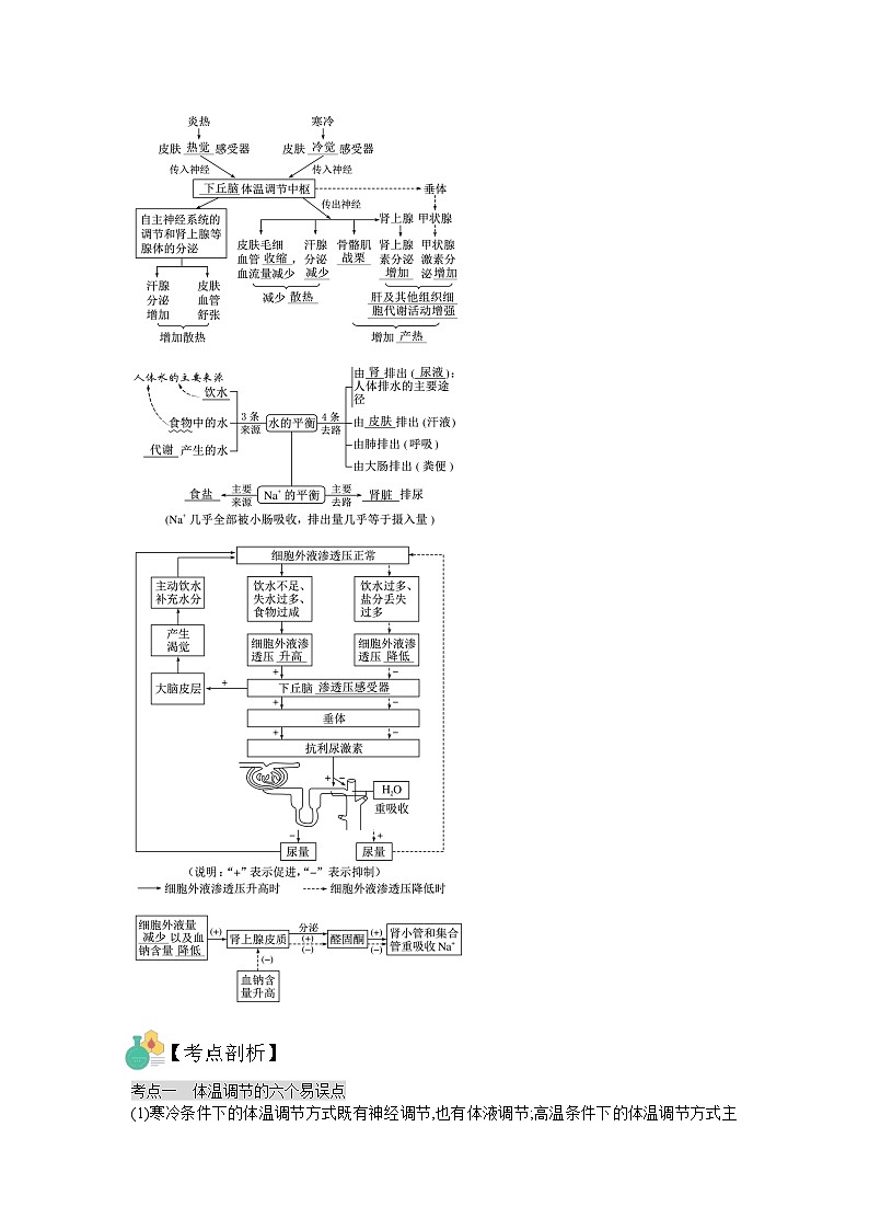 【暑假预习】人教版2019生物高一（升高二）暑假预习-（选修1）第6讲 体液调节与神经调节的关系 讲学案02
