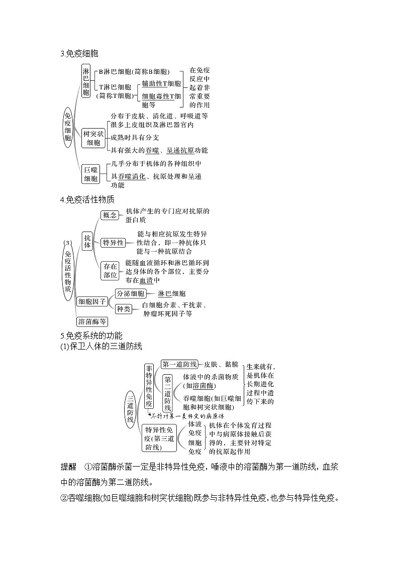 【暑假预习】人教版2019生物高一（升高二）暑假预习-（选修1）第7讲  免疫调节之免疫系统组成和功能 讲学案02