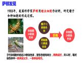 2.2基因在染色体上（2课时）课件PPT