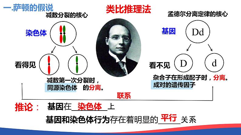 2.2基因在染色体上（2课时）课件PPT05