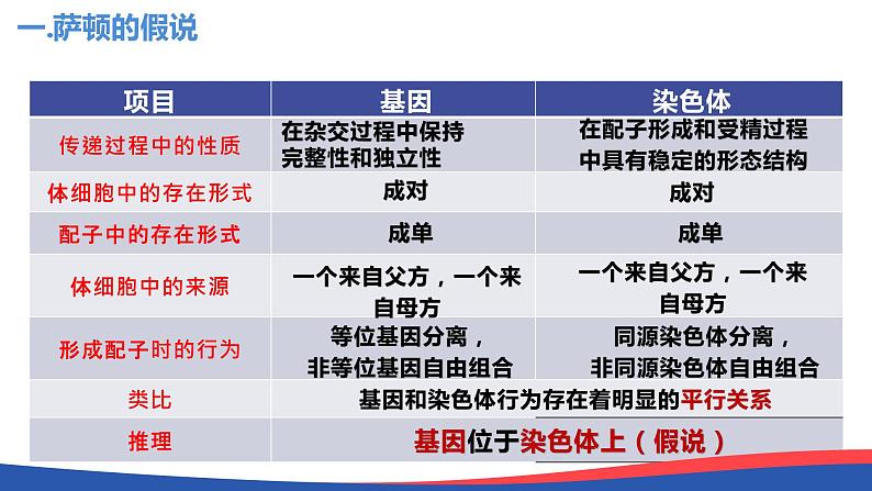 2.2基因在染色体上（2课时）课件PPT06