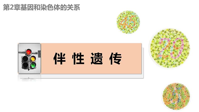 2.3伴性遗传（2.5课时）课件PPT01