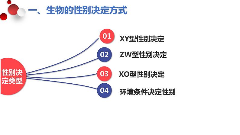 2.3伴性遗传（2.5课时）课件PPT07