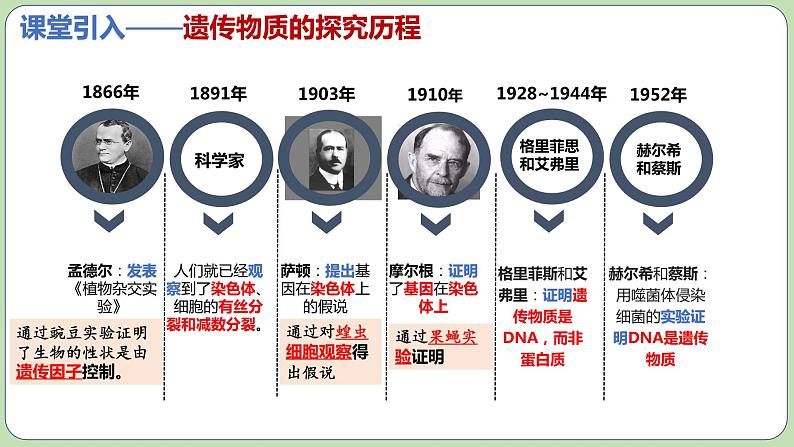 3.1DNA是主要的遗传物质（2课时）课件PPT06