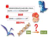 4.1基因指导蛋白质的合成（第1课时）课件PPT