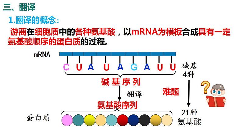 4.1基因指导蛋白质的合成（第2课时）课件PPT04