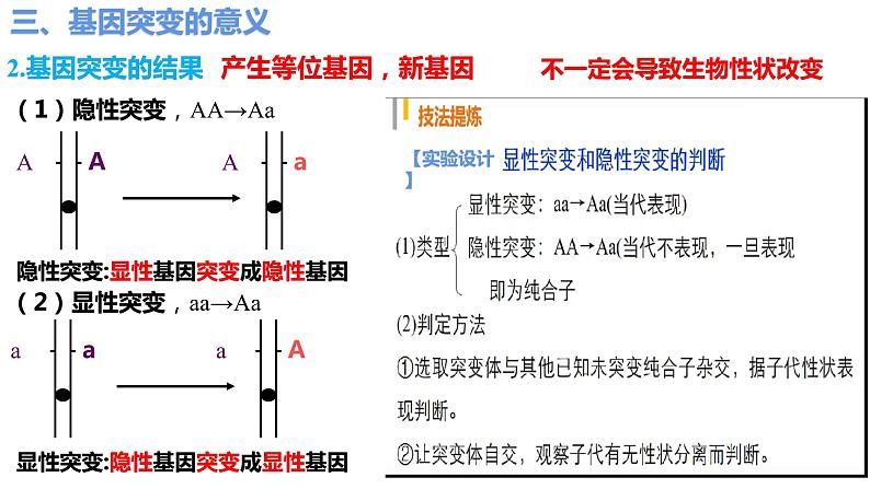 5.1基因突变和基因重组（第3课时）课件PPT06